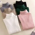 Turtleneck Sweater Pullovers Jumper Fashion Soft Women Knitted Femme Casual 3-Days-Sale winter