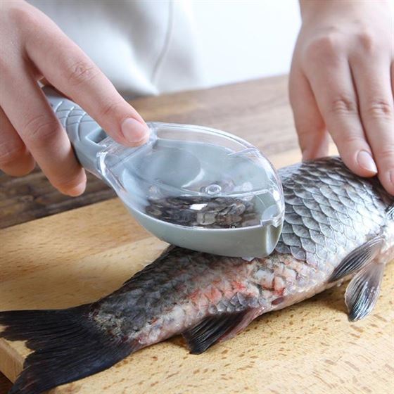 Gadget Brush Scraper Peeler Fishing-Tool-Accessories Fish-Scale-Brush Fish-Skin Cooking
