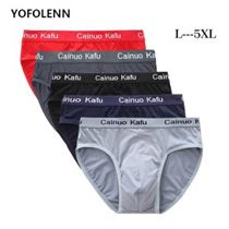 Bamboo-Fiber Underpants Briefs Men Mesh Silk Breathable Mens Male Solid 4pcs/Lot Bodysuit