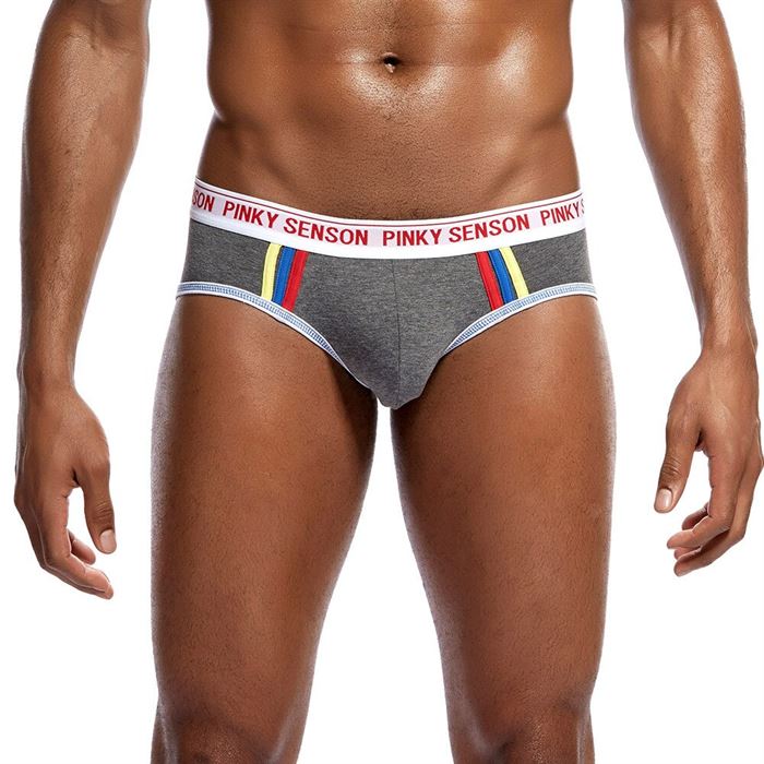 Men's Underwear Briefs Casual Low-Waist Sexy Breathable Cotton New And Fashion Soft Solid