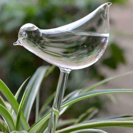Self-Watering-Devices Flowers-Water-Feeder Glass Garden-Plants Automatic Clear Bird-Shape