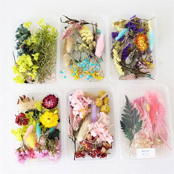 Flower Pendant Craft Necklace-Making Candle-Epoxy-Resin Diy-Material Dry-Plants Real-Dried