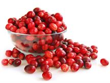 cranberry01.jpg